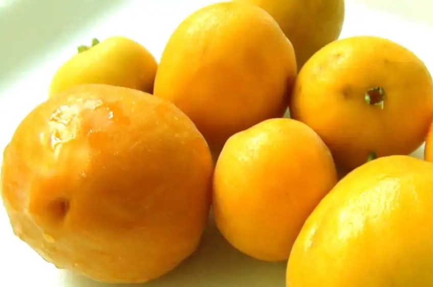Uvaia: fruta nativa brasileira tem quatro vezes mais vitamina C que a laranja