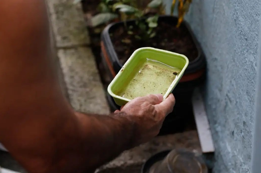 Fiocruz alerta para efeitos da chikungunya em crianças e adolescentes