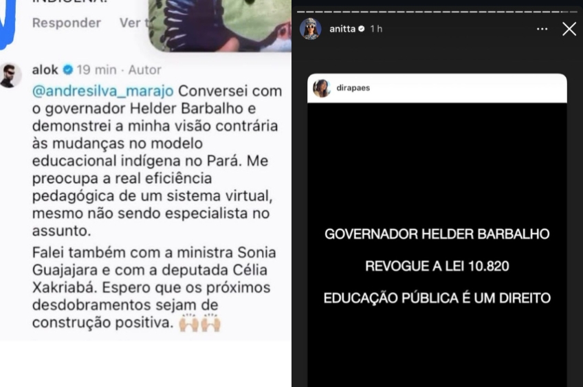 Anitta, Alok e Dira Paes pedem revogação de lei de Helder Barbalho sobre educação indígena