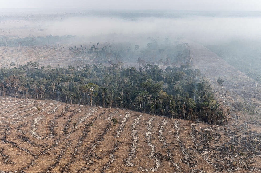 Amazônia em risco: crimes ambientais avançam sobre terras não destinadas