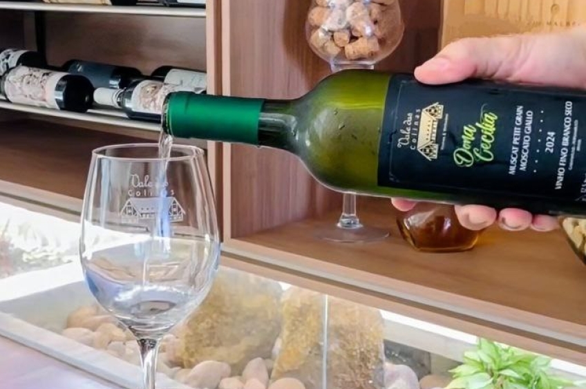 Vinícola de Garanhuns é destaque nacional e leva prêmio de melhor Moscato do Brasil